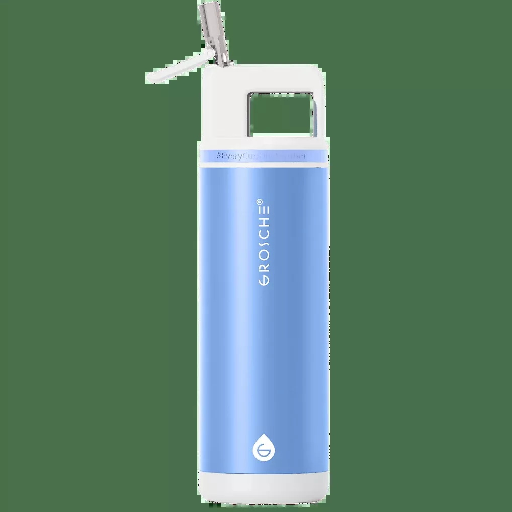 ALPINE Flip 'N Sip Insulated Water Bottle With Straw, 20oz