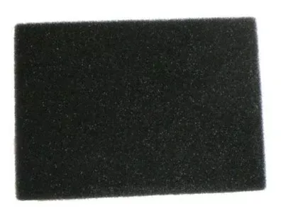 Bissell 2037082 Pre-Motor Filter