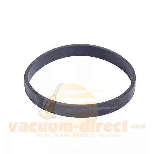 Bissell Flat Pump Belt for ProHeat 2X Revolution Machines, #160-6428
