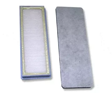 Simplicity Synergy SF9-1 HEPACharcoal Vacuum Filter